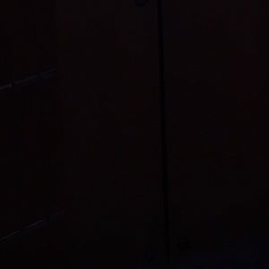 Meet your Posher, Shyla